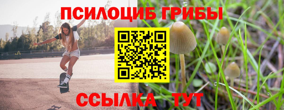 Псилоцибиновые грибы ЛСД  Галлюциногенные грибы Cubensis  Отрадный  Вход с VPN 